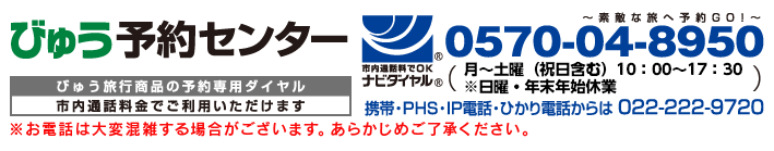 びゅう予約センター
