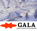 GALA 写真
