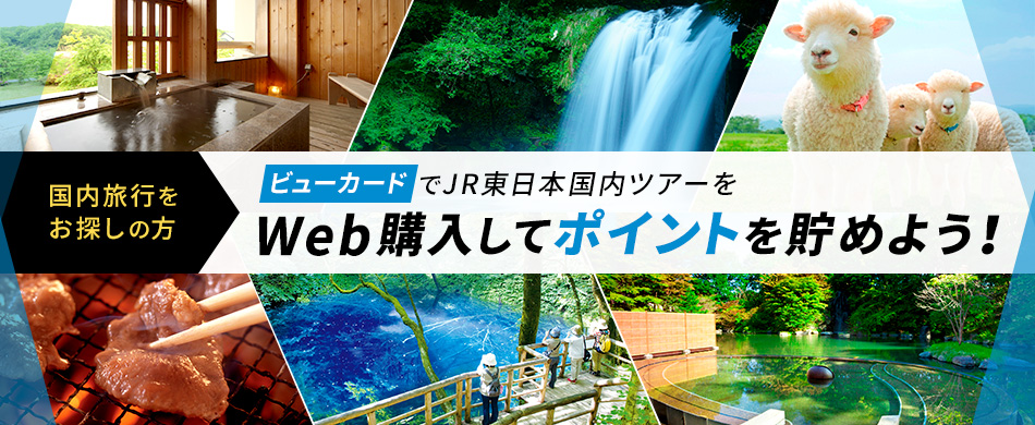 国内旅行をお探しの方 ビューカードでJR東日本国内ツアーをWeb購入してポイントを貯めよう!