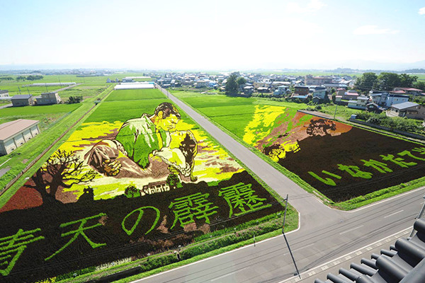 田舎館村 田んぼアート