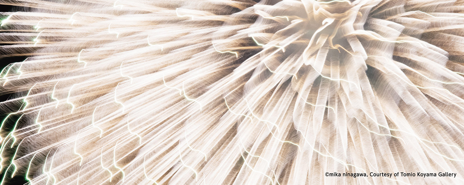 蜷川 実花|作品