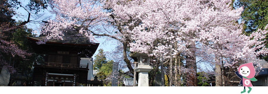 山梨