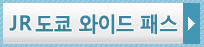 JR 도쿄 와이드 패스