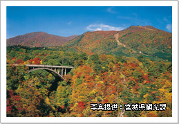 写真提供:宮城県観光課