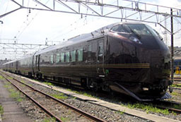 和(なごみ)E655系