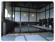温泉一日游