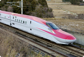 Series E6