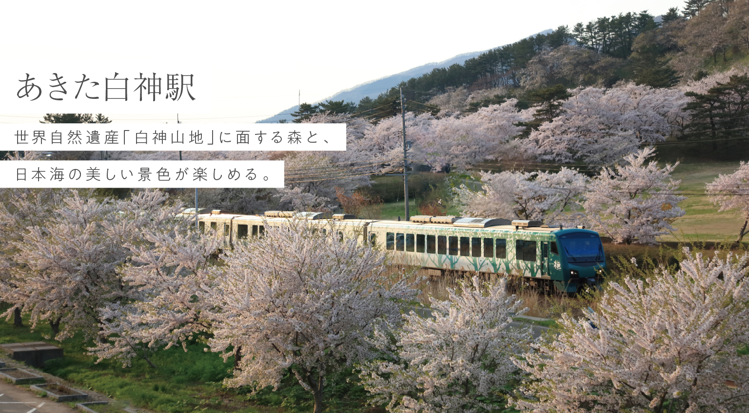 五能線の旅 沿線観光スポット あきた白神駅 Jr東日本