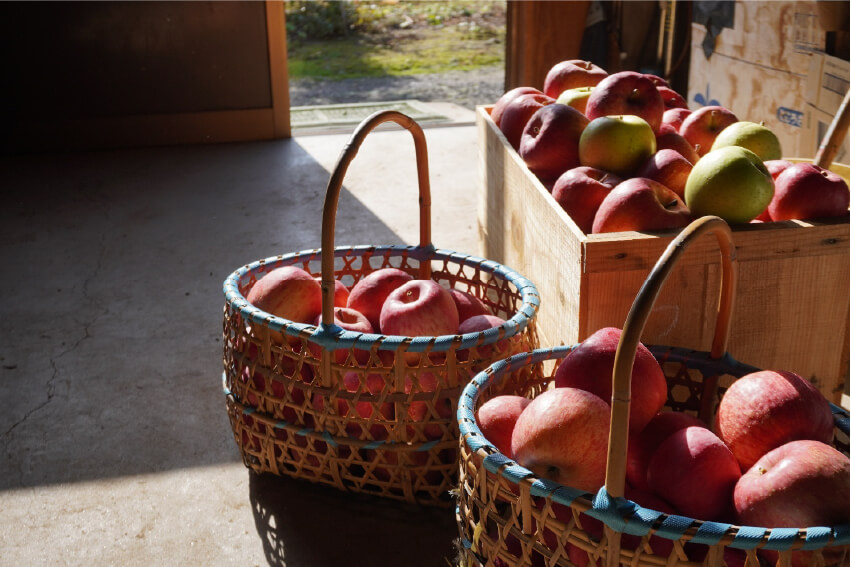りんごの木箱にこんもりと入ったりんご