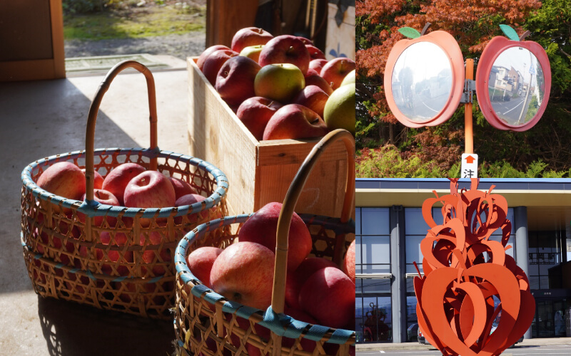 青森のりんご文化と、映える可愛いりんごを紹介！