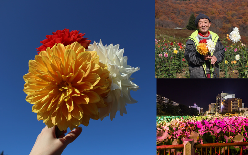 秋田でしか出逢えない〈花のある風景〉を見に行こう