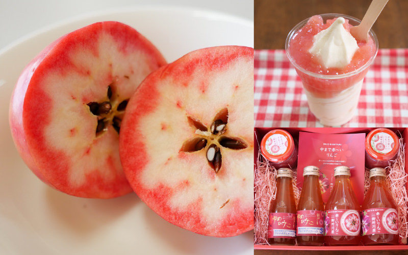 五所川原特産の美容に良いりんごを思いっきり味わう旅に出よう！