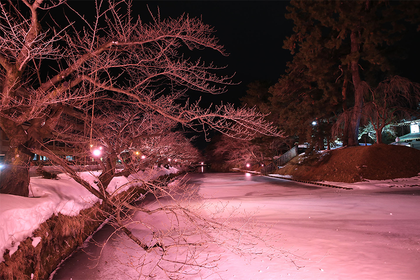 枝に雪が降る前の写真