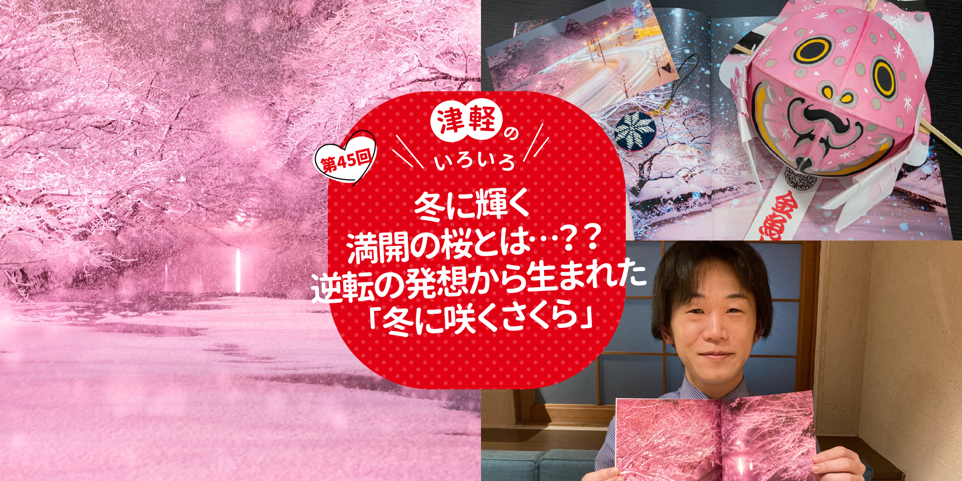 冬に輝く満開の桜とは…？？ 逆転の発想から生まれた「冬に咲くさくら」