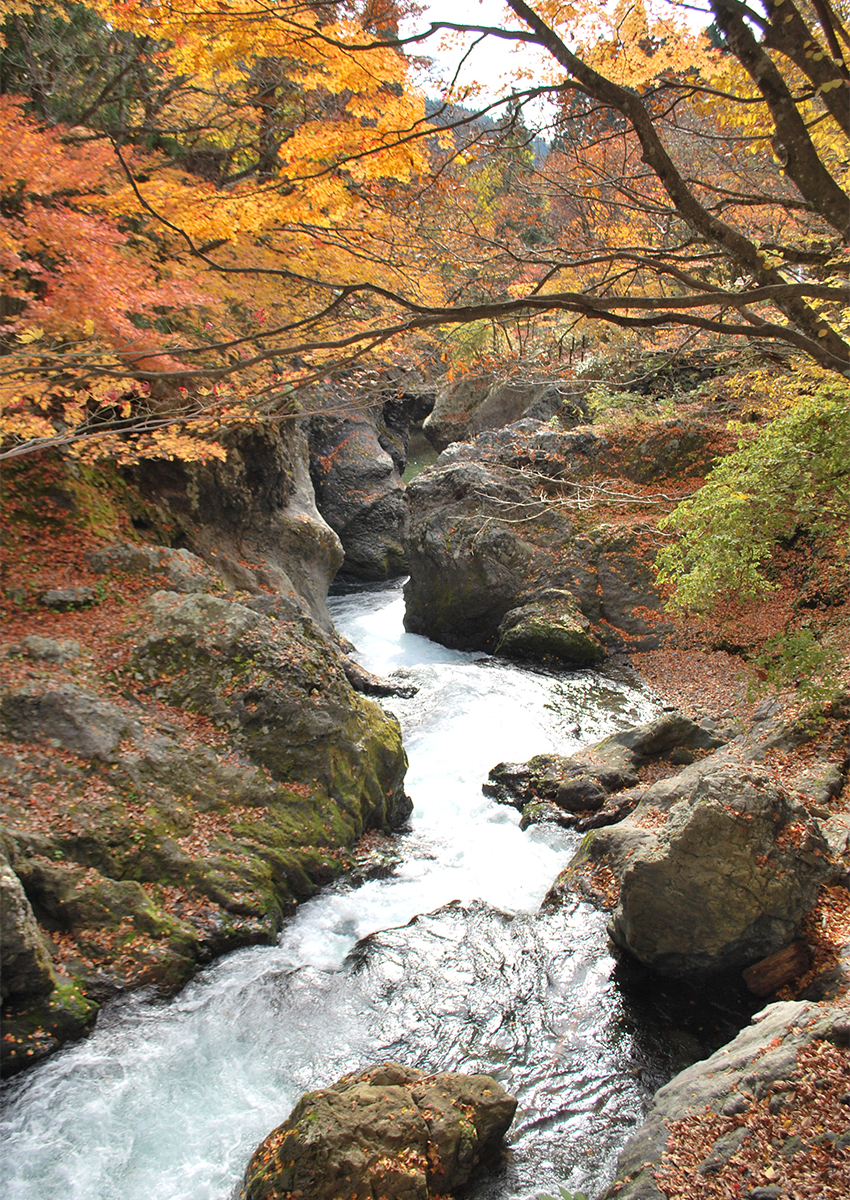 三十釜の紅葉