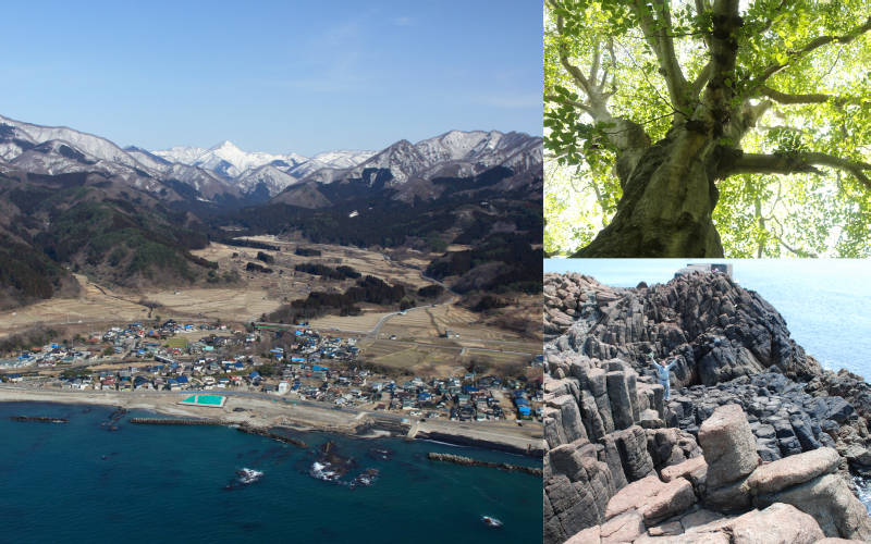 「八峰白神ジオパーク」を楽しみ尽くそう