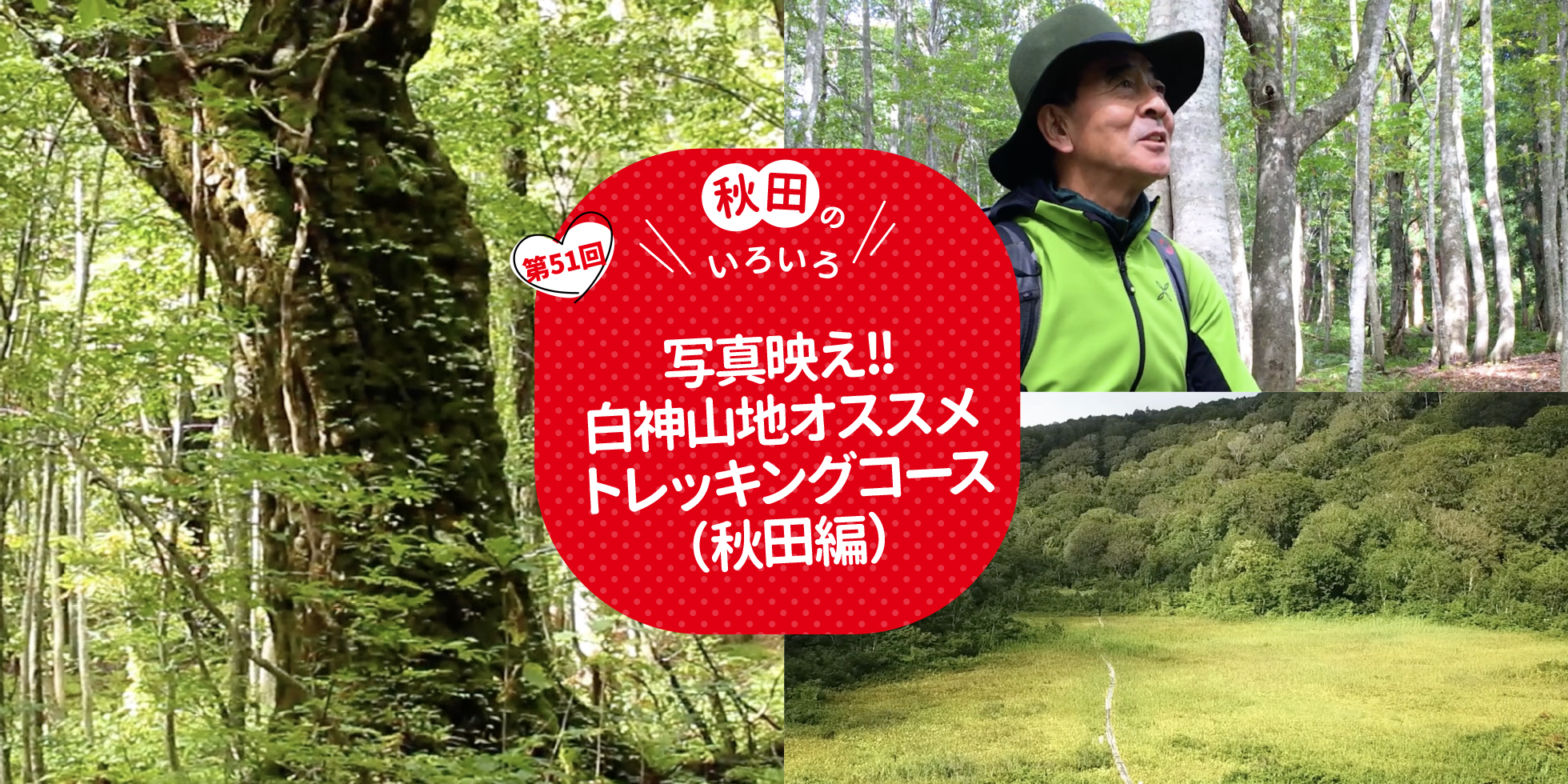 写真映え！！白神山地オススメトレッキングコース（秋田編）