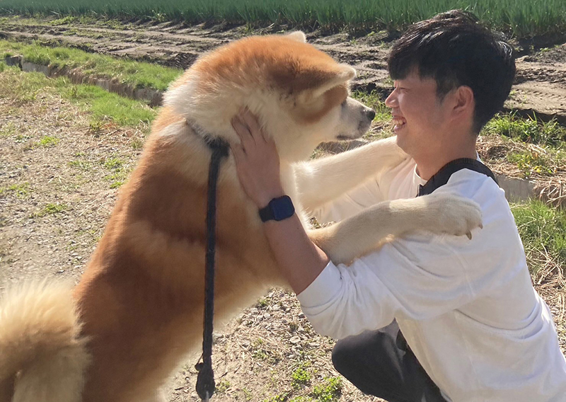 秋田犬とのふれあい