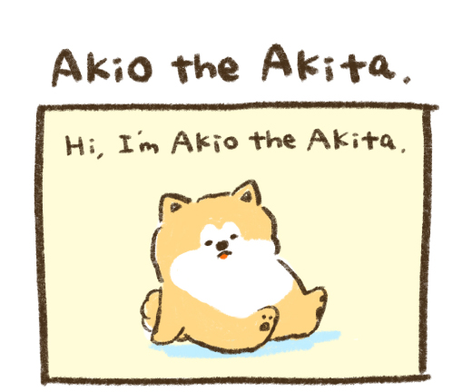 Akio the Akita