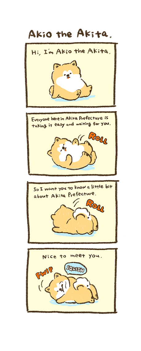 Akio the Akita
