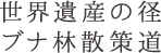 世界遺産の径ブナ林散策道