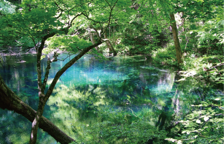 沸壺の池