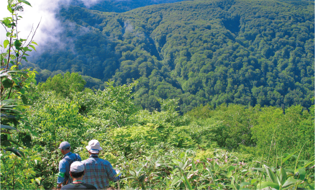 二ツ森登山道