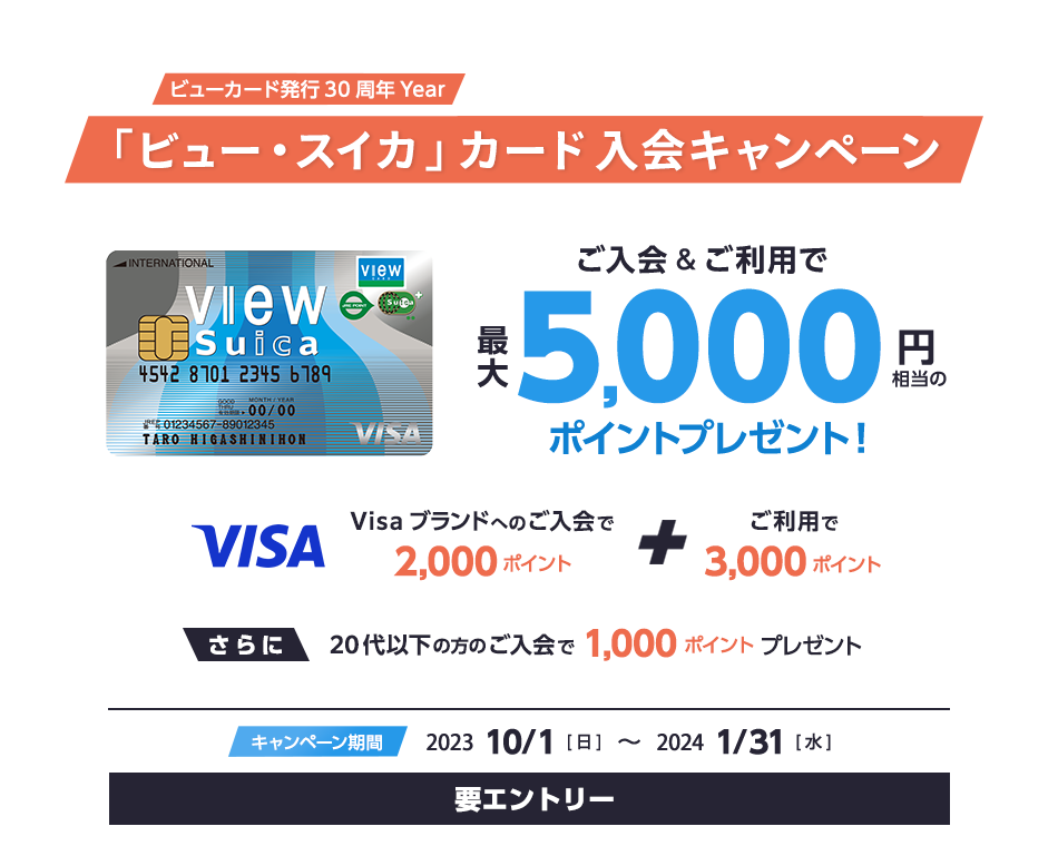 愛犬とハッピーに長生きするレシピ 衣