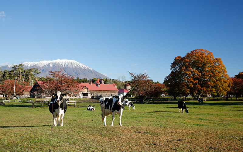 小岩井農場 イメージ