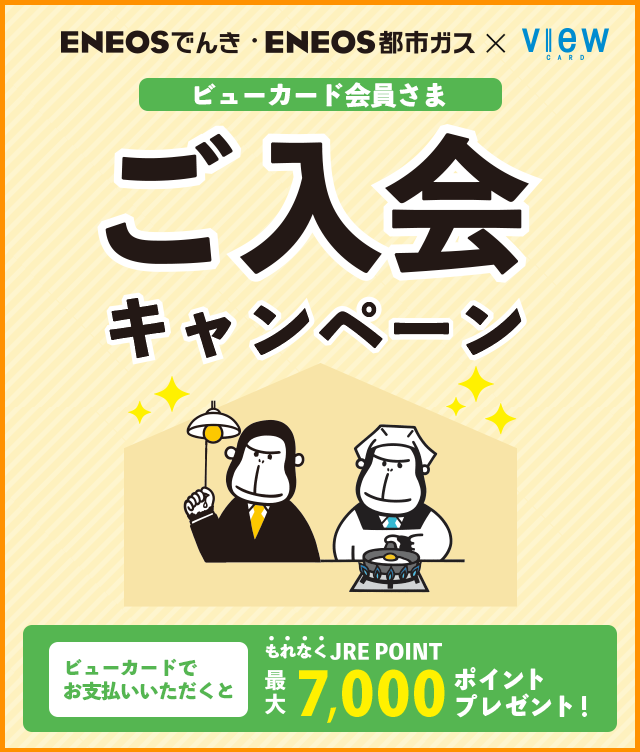 Eneosでんき Eneos都市ガス 新規ご入会キャンペーン ビューカード