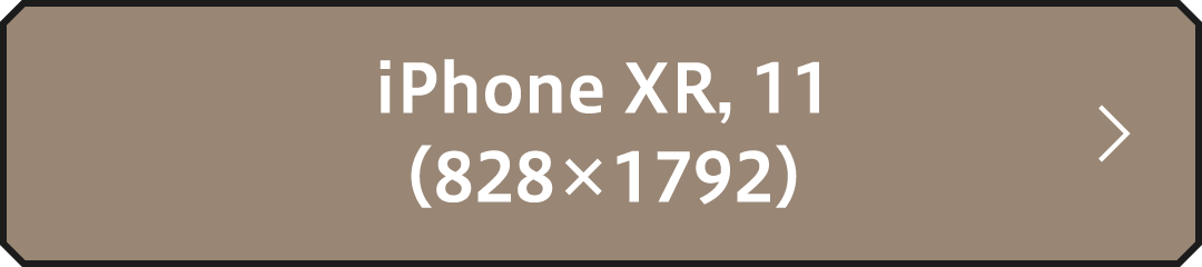 iPhone XR, 11（828×1792）
