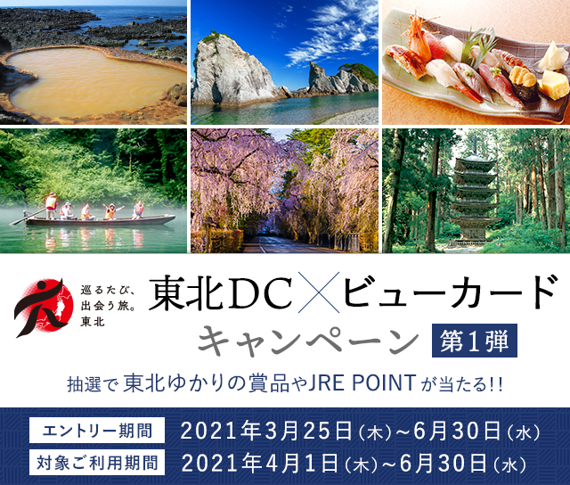 東北dc ビューカードキャンペーン ビューカード 東北dc ビューカードキャンペーン ビューカード