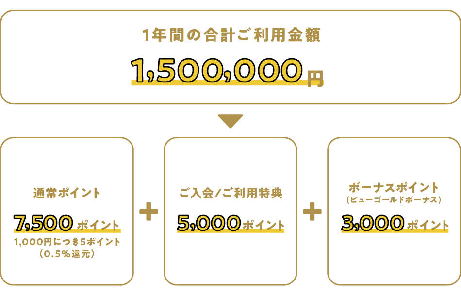 ビューゴールドプラスカード ビューカード