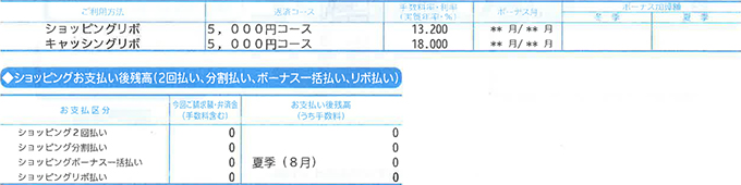 ショッピングお支払い後残高 画像