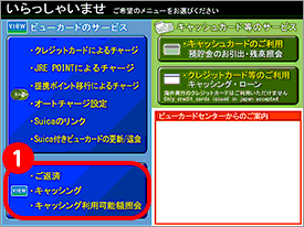 リボルビング払いの繰上返済のご案内 ビューカード