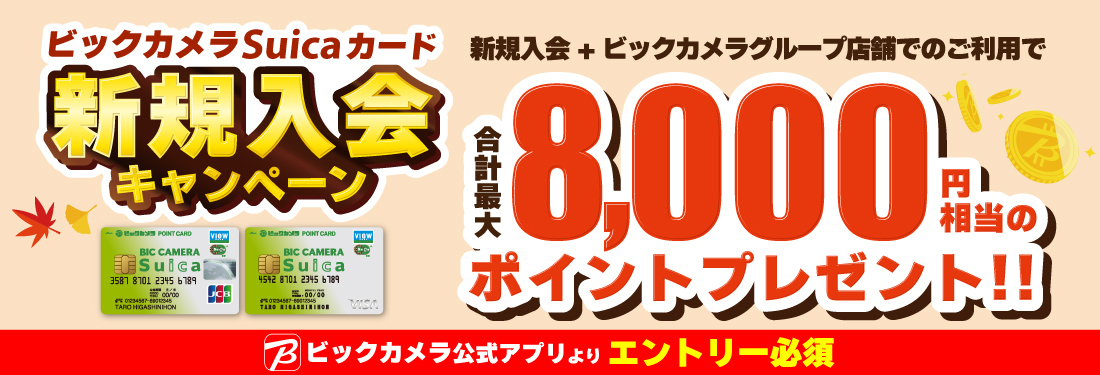ビックカメラSuicaカード　キャンペーン