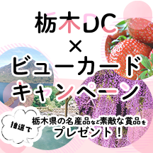 栃木DC×ビューカードキャンペーン イメージ