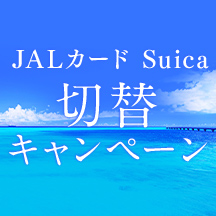 既にカードをお持ちの方向けキャンペーン一覧 ビューカード