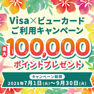 Visa×ビューカード ご利用キャンペーン イメージ