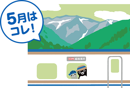 ペンギンコレクション ビューカード ペンギンコレクション ビューカード