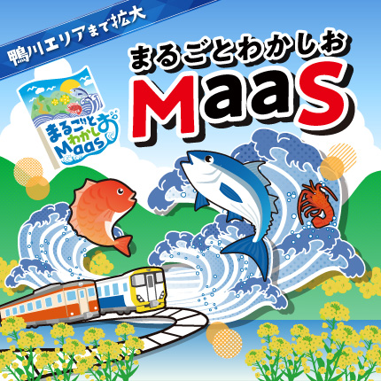 2024.7.13（土）スタート まるごとわかしおMaaS