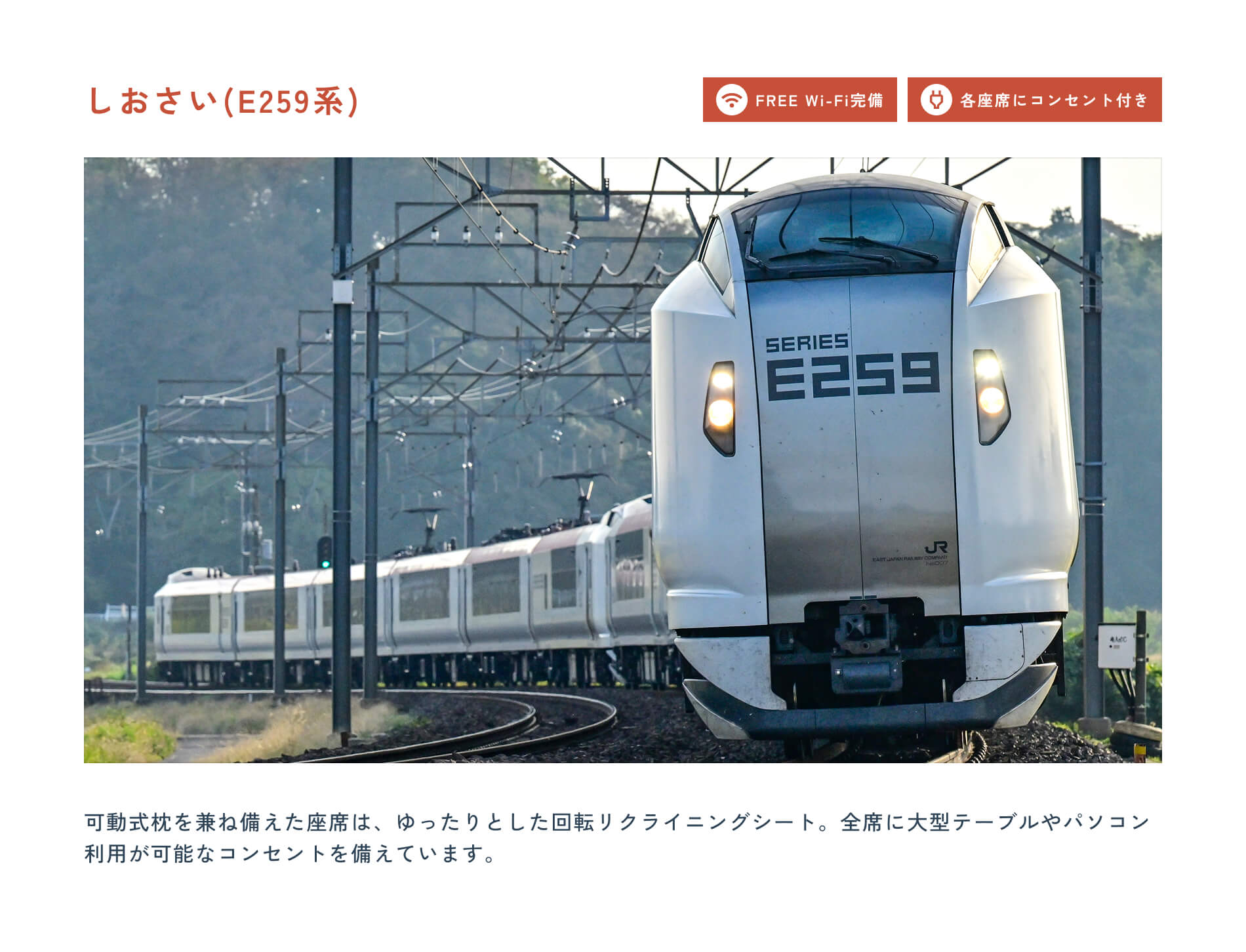 しおさい（E259系） FREE Wi-Fi完備 各座席にコンセント付き 可動式枕を兼ね備えた座席は、ゆったりとした回転リクライニングシート。全席に大型テーブルやパソコン利用が可能なコンセントを備えています。