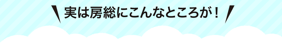 ここはどこでしょう? 実は房総にこんなところが!