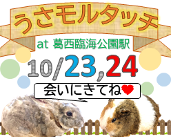 葛西臨海公園駅で「わくぞくうさモルタッチ」開催！