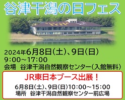 谷津干潟の日フェス