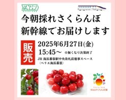 山形県産“今朝どれ”さくらんぼを販売します！
