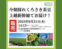 ブランド枝豆「くろさき茶豆」を販売します！