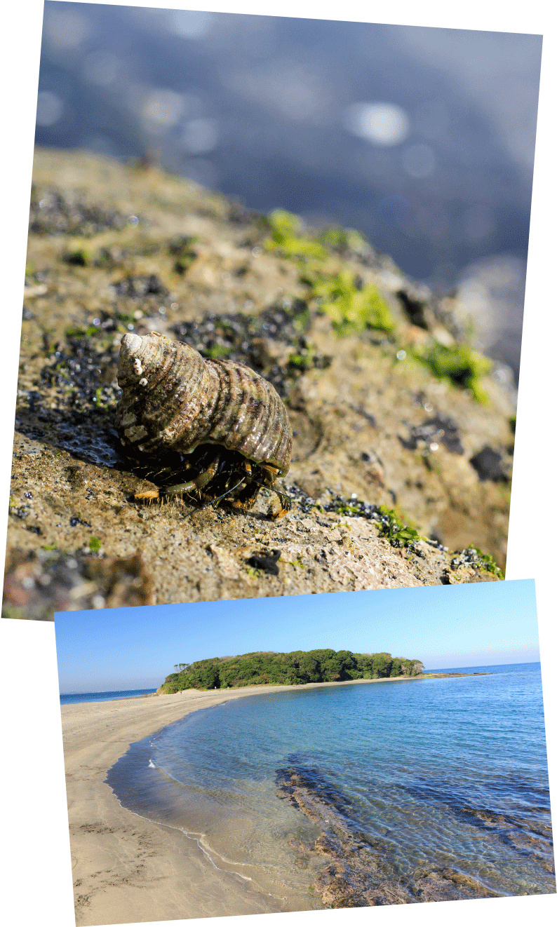 沖ノ島海水浴場