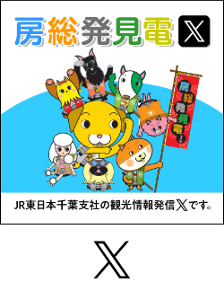 房総発見犬
