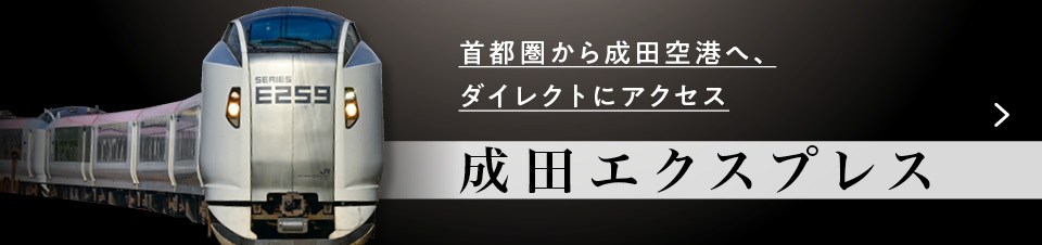 成田エクスプレス 詳細ページへのリンク